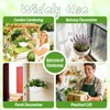 Bvrbaory 8 Pack Hanging Planter Pots,Self-Watering Flower Pot with Water
