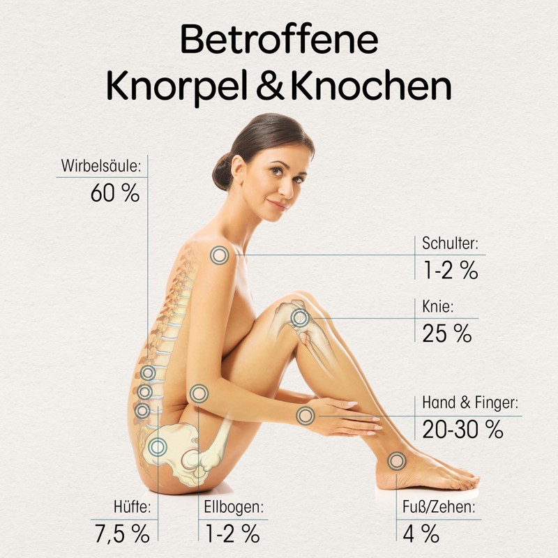 Dr. Böhm Cartilage & Bones: For Support for Cartilage and