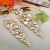 Flyonce Austrian Crystal CZ Wedding Chic Flower Cluster Chandelier Dangle