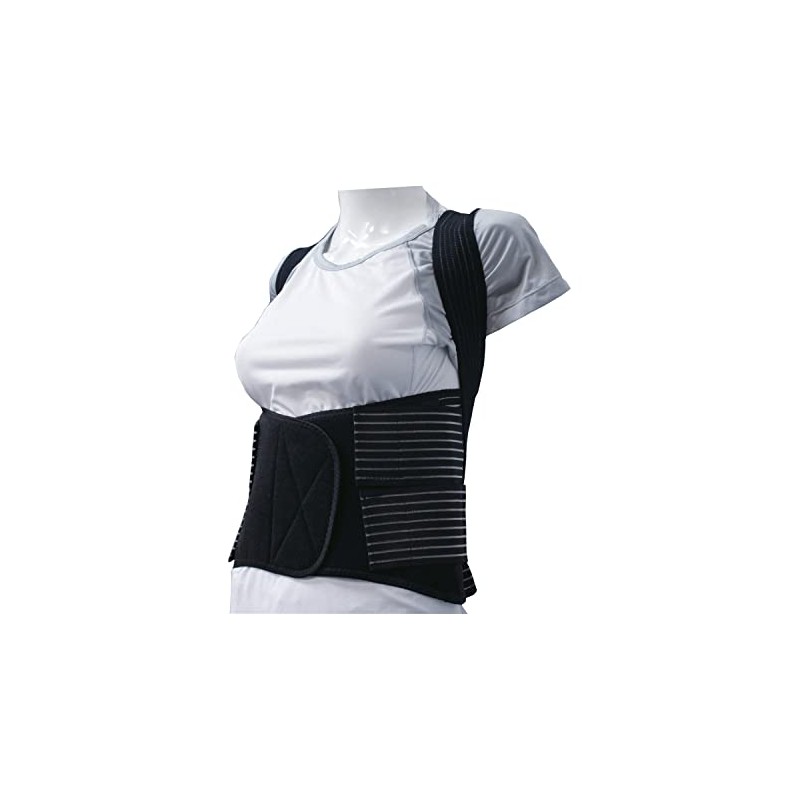 Assist Belt AB-89 (Small)