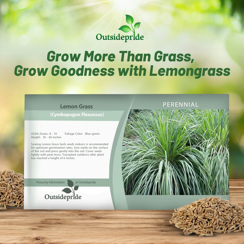 Outsidepride Lemon Grass Seeds for Planting - 2000 Perennial Seeds,