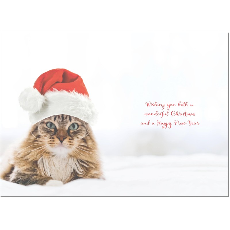 doodlecards Son and Partner Christmas Card Cat with Santa Hat