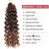 Curly Crochet Hair GoGo Curl Crochet Hair for Black Women