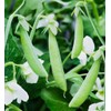 Organic Green Split Peas- Fiber & Protein rich, Raw, Non-GMO,