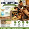 Eyaeyao 16 oz Natural Pine Shavings, Absorbent Chicken Coop Bedding