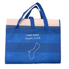 Unbranded Guam Picnic Mat Foldable With Handles Built In Inflatable Pillow Blue/White