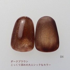 Magnetic Nail Gel Nail Magnetic Gel 0.3 oz (8 g) Glitter One Hon Nail Reno Gel Dull Color Art Gel Nail Color Gel Nail Magnet Clear Ceramic Self Nail Salon Large Capacity Professional (RN04, 1)