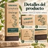 Drenaje Linfático Bienestar Diario Cincuenta Nueve Ml Herbal