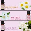 SALKING Floral Essential Oils Set, Premium Pure and Natural Essential Oils,