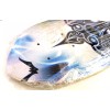 SK8 Longboard Tabla 68cm Ruedas Led (detalle Estetico)(saldo)