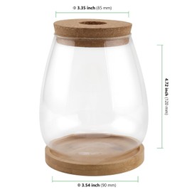 HAKZEON 3 PCS Plant Terrarium Jar, Glass Propagation Jars Vase with Lid, Plant Glass Containers with Bamboo Tray, Glass Planter Hydroponics Vase for Water Air Plants Indoor, Monstera, Orchid, Decor