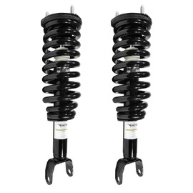 Unity 2-11096-001 Front 2 Wheel Complete Strut Assembly Kit