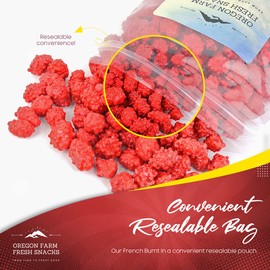 Oregon Farm Fresh Snacks French Burnt Peanuts - Classic Old Fashioned Sweet and Salty Crunchy Spanish Snack - Bulk Red Candy for Candy Jar or Snacking - Resealable Bag Guarantees Freshness (24oz)