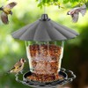 Wild Bird Feeder Foldable Panorama Gazebo Bird Feeder Portable Outdoor