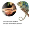 Reptile Food Dish Bowl Wall-Mounted Reptile Water Bowl ABS Material