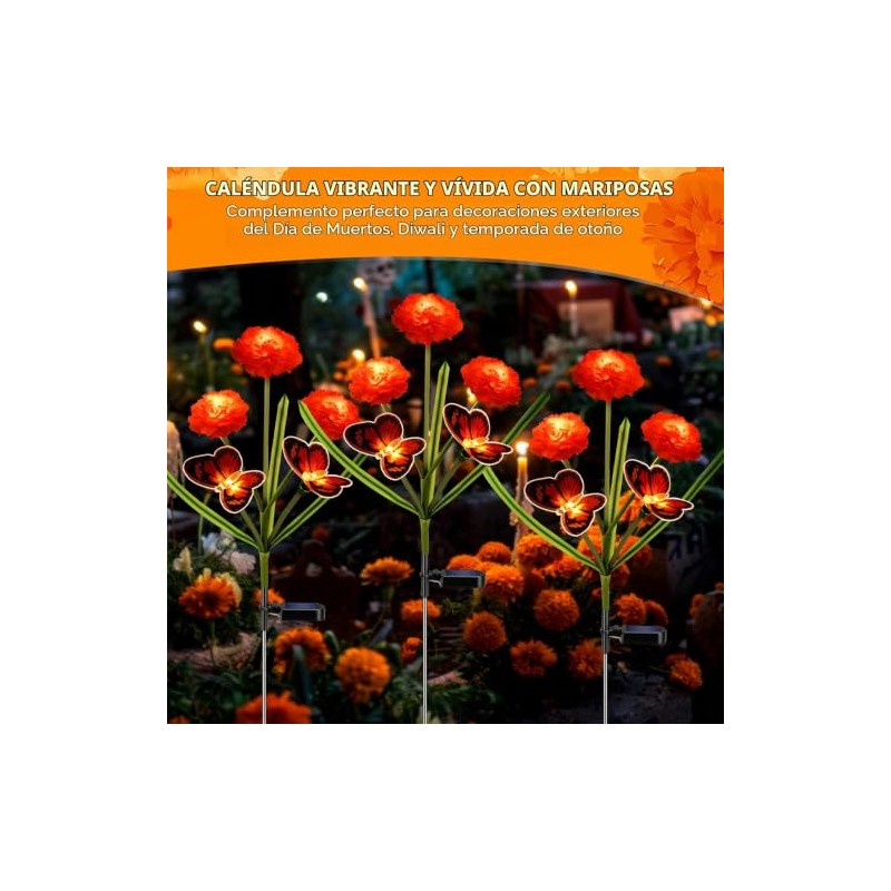 Dia de Los Muertos - Luces de flores de caléndula