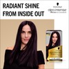 Schwarzkopf Oleo Intense Permanent Oil Colour 3-33 Rich Plum Hair