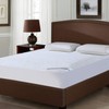 SPRINGSPIRIT 100% Waterproof Mattress Protector Queen Size Hypoallergenic Terry Mattress