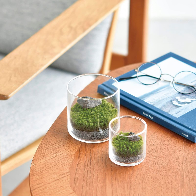 Seishin Pottery Glastmoss M