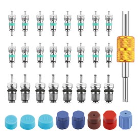 YGDMD 33PCS Car AC Valve Core Kit,Car Air Conditioner Valve Stem Core Set to Restore Cooling with High & Low Pressure A/C Caps/Removal Tool/Valves Cores,Practical R134A/R12 AC Tools