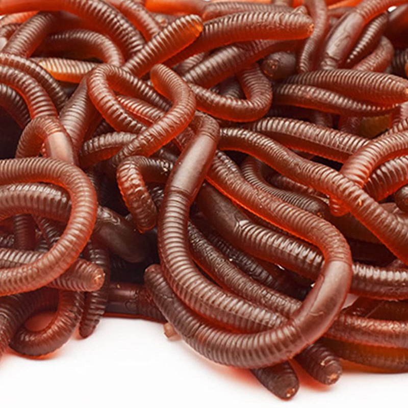 Worms 30pcs Earthworms Maggot Figure Joke Toys for Halloween Decorations