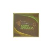 DIC Earth Spirulina L Stick x 30 packs Convenient Spirulina Carnitine Containing HW, 1 pc / DIC 지구 스피루리나 L스틱 x 30포  간편한 스피루리나 카르니틴 함유HW, 1개