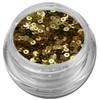 Glitter Donuts Circles Glitter Nail Art Gold Metallic