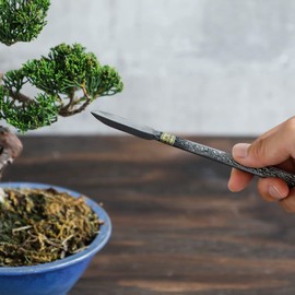 Wazakura Carbon Steel Spear Shaped Bonsai Jin Chisel 7.2 inches (185 mm) Made in Japan, Deadwood Carving Tool, Japanese Shari Bark Scraper, Detail Woodworking Gouge - Silver