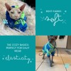 Sphynx Cat Hoodie Sweater, Thick Warm Stratch Soft Cat Hoodie