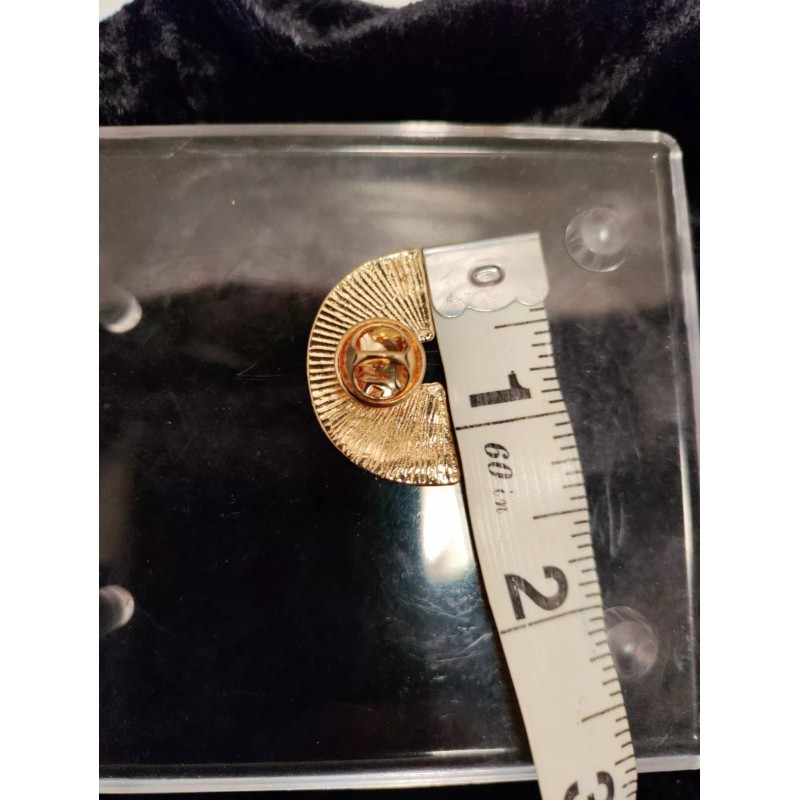 Unbranded Florida Rainbow Pin