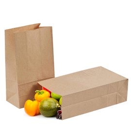 Tendwarm 40 Pcs 5.9x3.5x11 Inches 6 Lb Brown Paper Lunch Bags Small Grocery Bag