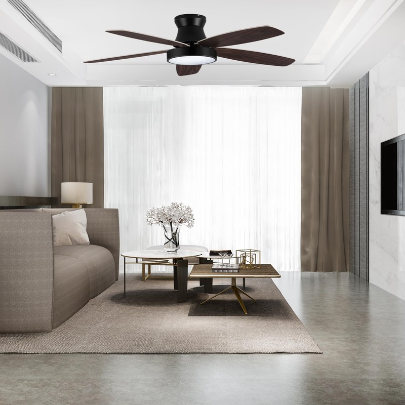 WXQGHDDF 42-Inch Ceiling Fan with LED Light, 5 Blades, 6-Speed