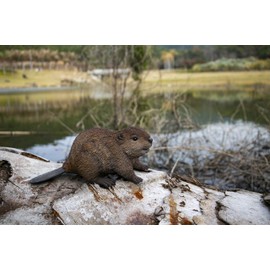 Hi-Line Gift American Beaver CUB Statue, Brown