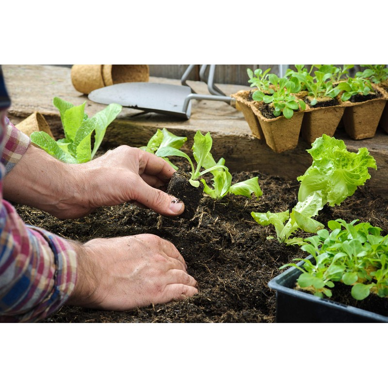 Be Cool Solutions Ground Cover, (6ft X 300ft) - UV