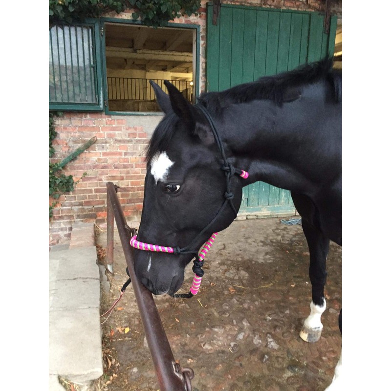 Knot Halter with Rope for Horses - Padded Nose and