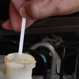 Phoenix Systems 3202-B Anti-Rust Synthetic Brake Fluid Treatment (DOT 3, 4 and 5.1 - Single Use Treats Up to 1 Liter of Brake Fluid)