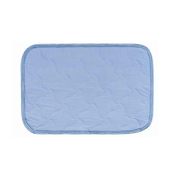 "Soft Like Wrapped In Clouds" Pillow Pad, Silky Touch, "Mochi-chewy
