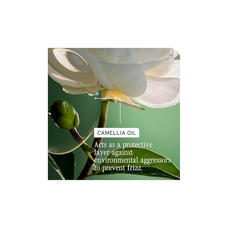 Biolage Shampoo SmoothProof | Limpia, Da Brillo y Controla el