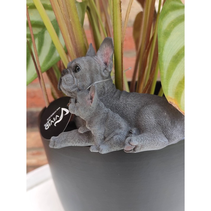 Vivid Arts Plant-Pals (Blue French Bulldog with Puppies)