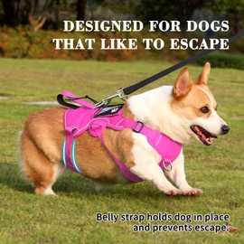 VOOPET Escape Proof Dog Harness, Soft Padded Full Body Pet Harness, Reflective No Pull Dog Harness with Handle and 2 Leash Clips for Small Dogs Walking Hiking Training (Rose Pink,S)