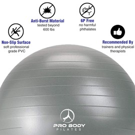 ProBody Pilates Ball Exercise Ball Yoga Ball, Multiple Sizes Stability Ball Chair, Gym Grade Birthing Ball for Pregnancy, Fitness, Balance, Workout at Home, Office and Physical Therapy (Silver, 55cm)
