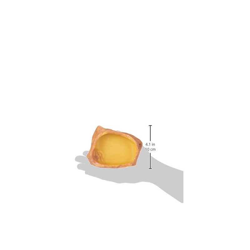 Exo Terra Water Dish, Medium