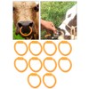 10Pcs Nylon Bull Nose Ring Accessory for Cattle Cow Farm