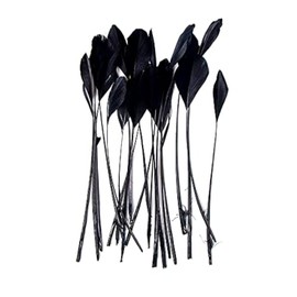 FEARAFTS Natural Black Feathers for Hats Making Fascinators Decoration Stripped Coque Feather Pack of 50 (Black)