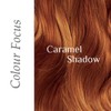 Desert Shadow Organic Hair Dye, Chestnut Shadow 100g