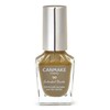 Canmake Colorful Nails N89 Mossy Green, 0.3 fl oz (8
