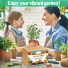 Legigo 100 Pcs 30mm Organic Coco Coir Pellets for Plants-