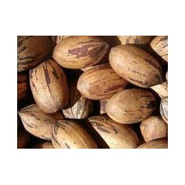 5 lb. In-Shell Stuart