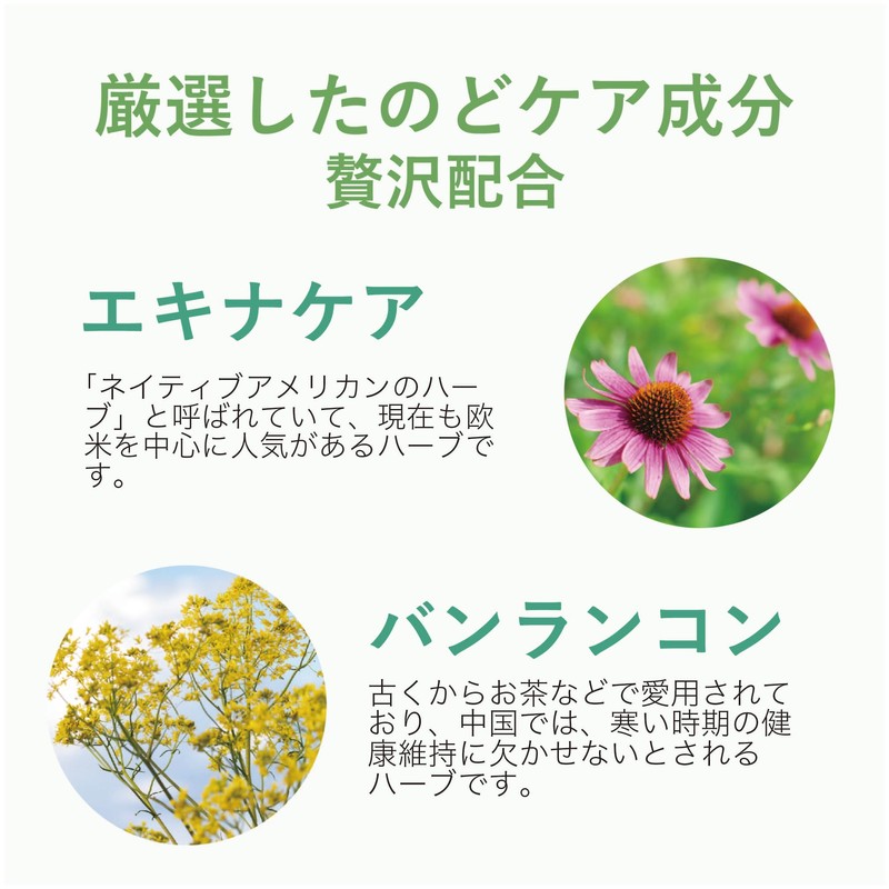 【 甘味料 砂糖 不使用 】くにさと35号のど飴 のど飴 喉飴 飴 ノンシュガー エキナケア