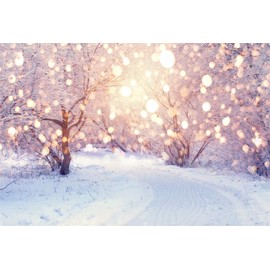 YongFoto 3x2m Backdrop Photography Winter Landscape Color Bokeh Snowflakes Christmas Backdrops for Photography Photo Shoots Photo Background Studio Props